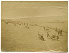 Queen's Promenade with goat carts [Albumin print]